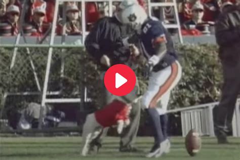 Uga The Bulldog Attacks Auburn Player On Sideline In 1996 Video Fanbuzz