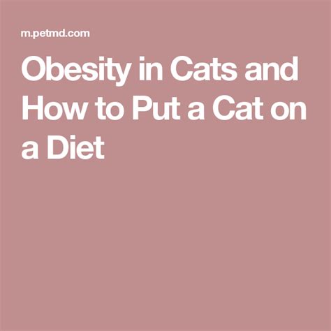 We did not find results for: Obesity in Cats and How to Put a Cat on a Diet | Cat diet ...