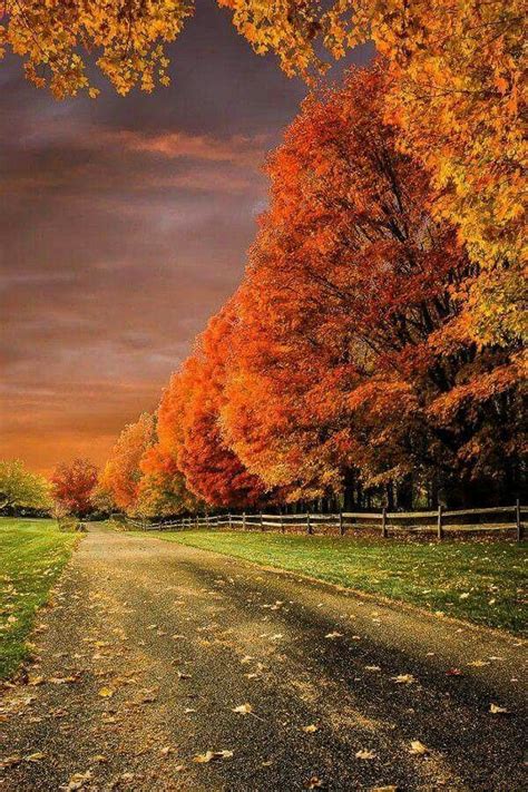 Awesome Autumn Scenery Landscape Scenery