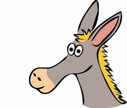 Donkey Cartoon Facts Clip Dumb Clipart Animal