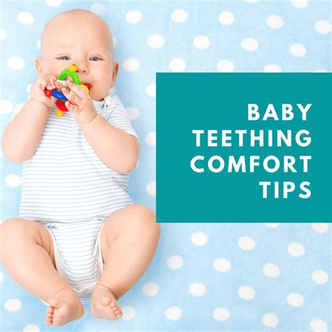 Baby Teething Comfort Tips Acorn Dentistry For Kids