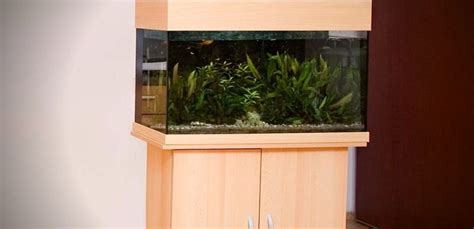 Best 20 Gallon Aquarium Stand In 2023 Standard And Long