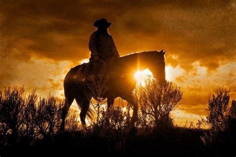 Sunset Cowboy On Horseback Cowboy Pictures Equine Photography Horse Hay