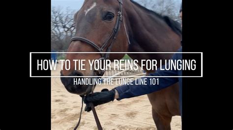 How To Tie Your Reins For Lunging Youtube