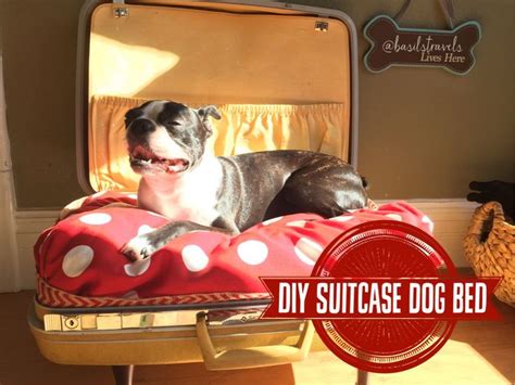 Make It Monday Diy Vintage Suitcase Dog Bed Basils Travels