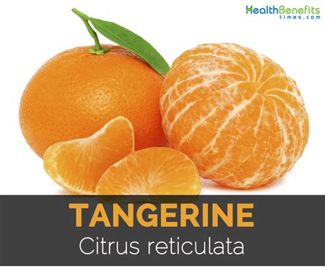 Tangerine Facts Health Benefits And Nutritional Value