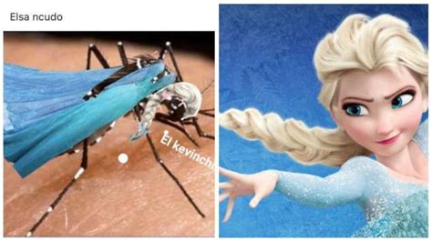 Elsa Ncudo Elsa Njudas Estos Son Los Memes De Elsa Con Los Que