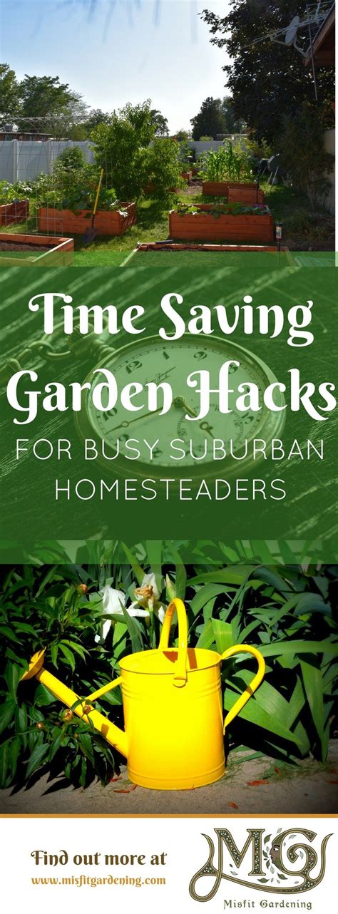Time Saving Garden Hacks For Busy Suburban Homesteaders Misfit