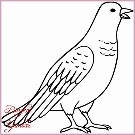 Sketsa Gambar Mozaik Burung Dara Contoh Sketsa Gambar Kulturaupice