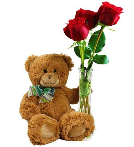 Send a teddy bear today! Roses and Teddy | Avas Flowers