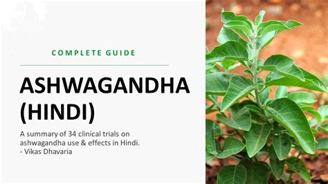 Ashwagandha A Complete Guide In Hindi Youtube