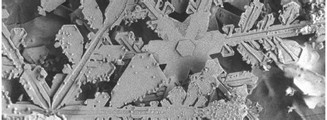 Snow Crystals As Seen With An Electron Microscope Wildfire Today