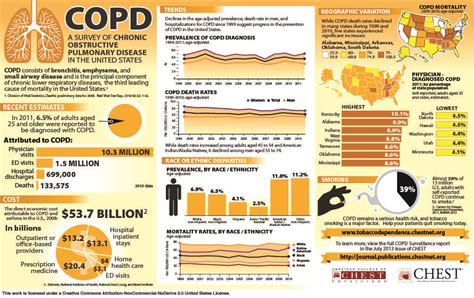 Copd Nih Copdsurveillance Infographic Hcsm Copd Awareness Copd
