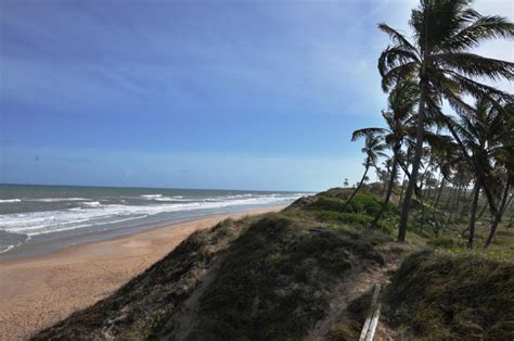 Praia Massarandupió Na Bahia Região Oceania Do Brasil