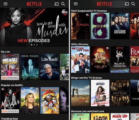 The best way to watch netflix is using its official apps, regardless of the operating system, unless you're a mac owner in which case you're stuck but if you were hoping for netflix to just port its ipad app to mac now that macos catalina is available and apple's catalyst tech is available to developers. Netflix CEO Keeping an 'Open Mind' About Offline Viewing ...
