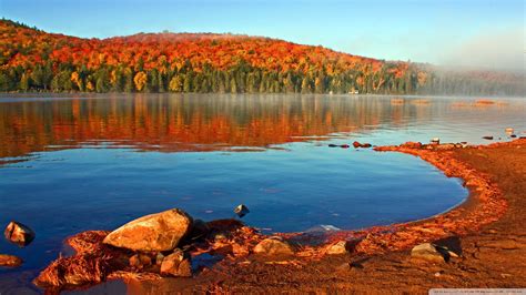 Download Lake Shore Autumn Wallpaper 1920x1080 Wallpoper 447297
