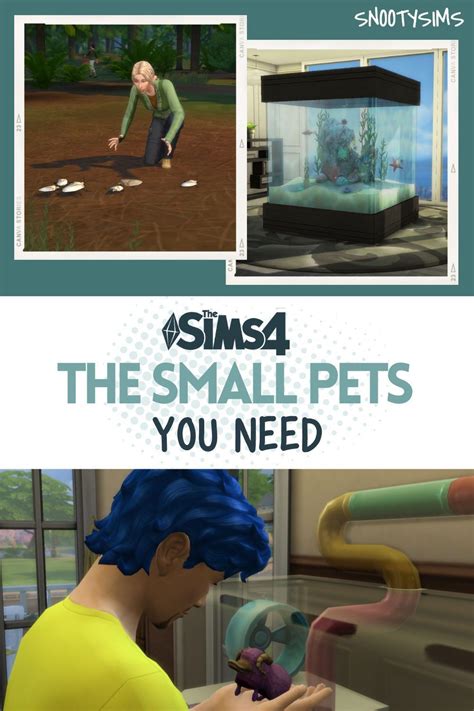 Besides Cats And Dogs That Were Introduced To Us In The Sims 4 Cats