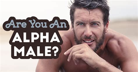 Are You An Alpha Male Quiz