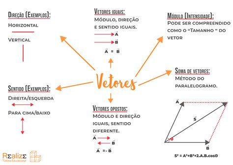 Mapa Mental Sobre Vectores Ppt Porn Sex Picture