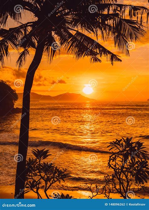 Coconut Palms And Sunrise At Tropical Beach With Sea Stock Photo