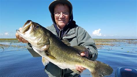 Big Bass Fishing Season On Lake Okeechobee In Clewiston Florida