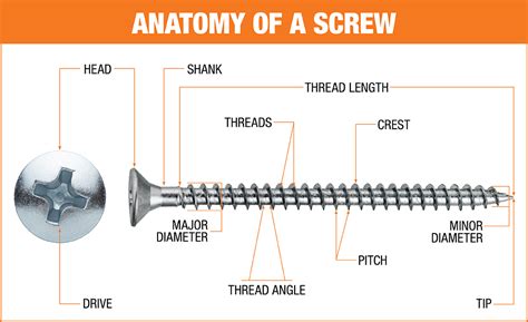 Screws Buying Guide The Home Depot