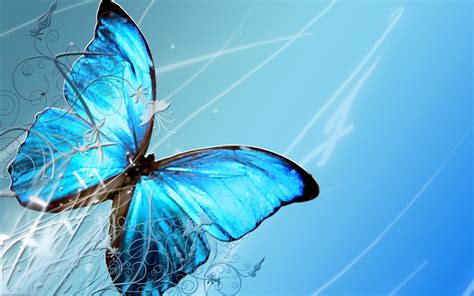Blue Butterfly Hd Wallpaper Wallpapersafari