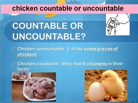 Chicken Countable O Uncountable Noun Archives Perfect Description