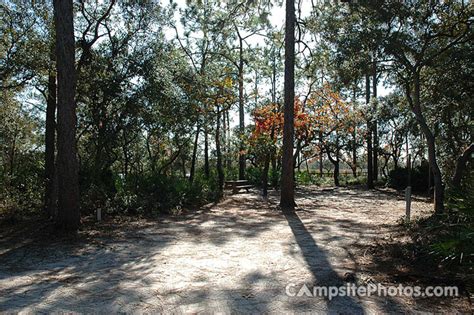 Ochlockonee River State Park Campsite Photos And Camping Info