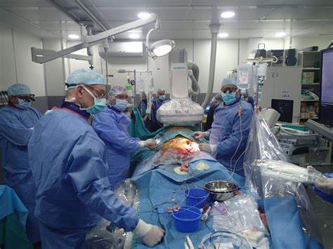 Care va fi venitul maxim lunar. Medici Cardiologi Timisoara Padurea Verde