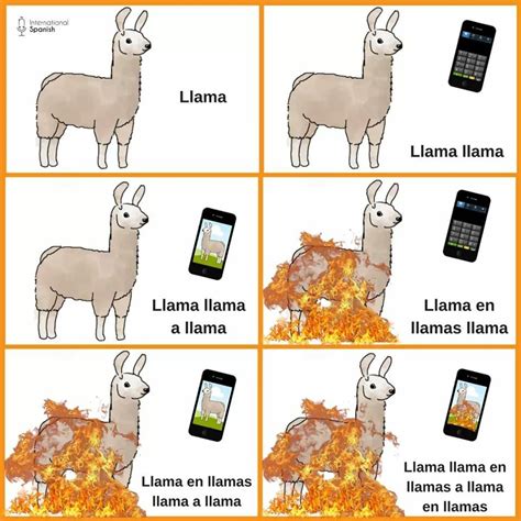 Pin De Lizbeth García En Mascotas Y Animales Memes Meme Del Dia Llamas