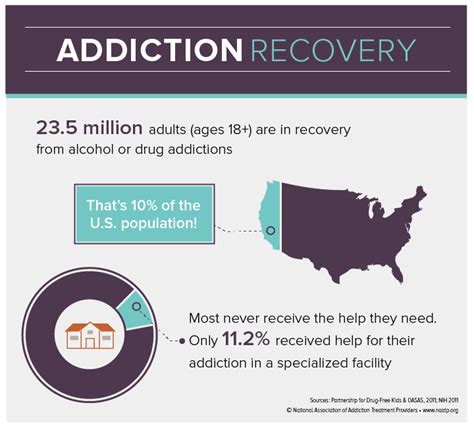 Addiction Treatment Statistics Substance Abuse Recovery Data