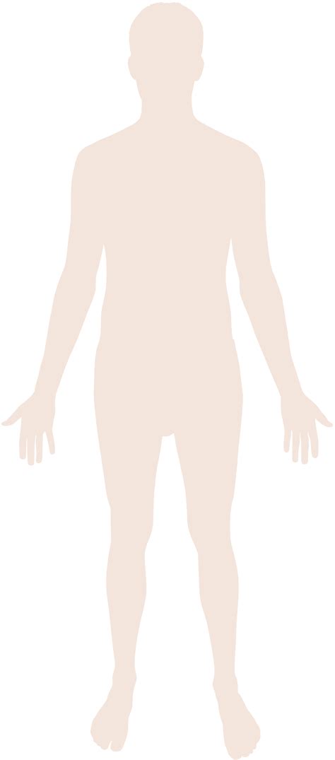Are you searching for cartoon body png images or vector? File:Human body silhouette.svg - Wikipedia