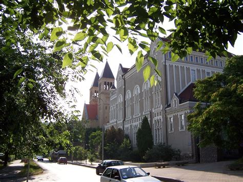 Experience In University Of Pécs Hungary By Ádám Erasmus Experience Pte