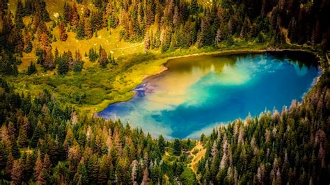 Download 1920x1080 Wallpaper Aerial View Forest Tree Lake Nature
