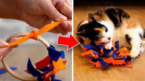 Easy To Make Diy Cat Toys Your Pet Will Love Youtube