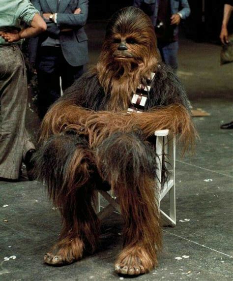 Star Wars Sith Star Wars Cast Star Trek Chewbacca Chewie Star Wars