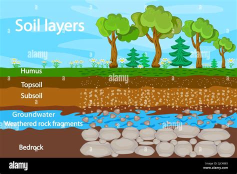 Diagram For Layer Of Soil Soil Layers Scheme With Grass Earth Texture