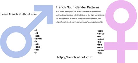 Need To Know The Gender Of A French Noun Its Ending Is A Tip Off