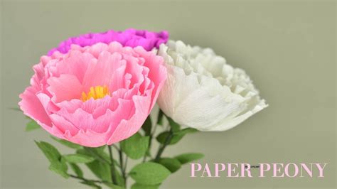Crepe Paper Peony Flower Tutorial With Template Creative Diy