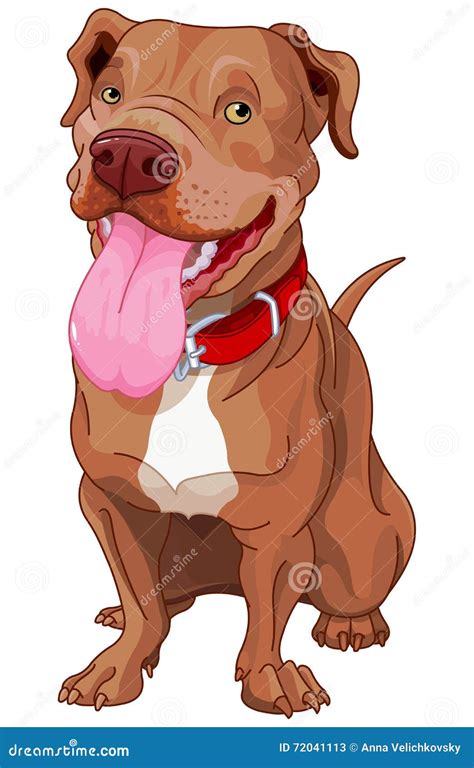 Pit Bull Stock Vector Illustration Of Drawings Clipart 72041113