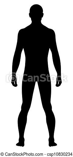 Vectors Of Naked Standing Man Full Length Front View Of A Standing