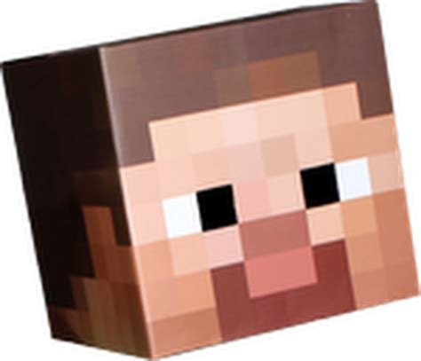 Steve Minecraft Face