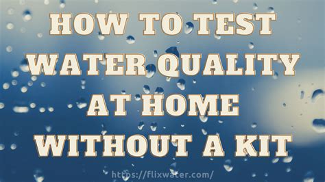 How To Test Water Quality At Home Without A Kit FlixWater