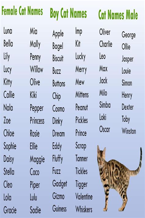 Cute Cat Names Unique
