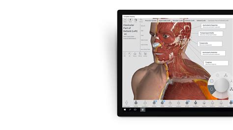 The most popular alternative is open anatomy, which is both free and open source. Microsoft Surface Dial Changing the Game | Innovative PC ...