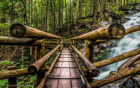 Bridge Over The Waterfall Foto And Bild Nature Water Wald Bilder Auf
