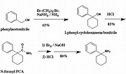 Use of PCA (1-phenylcyclohexylamine) as a precursor
