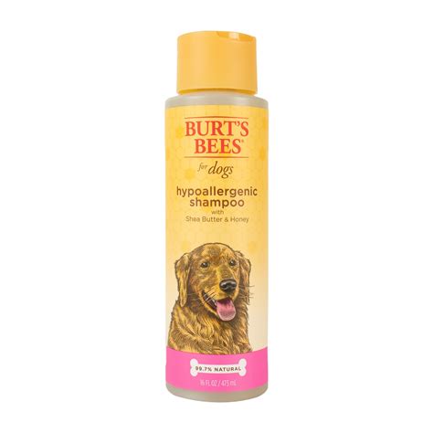 Without any question, cats are one of the most favorite animals. Burts Bees For Cats Hypoallergenic Shampoo With Shea ...