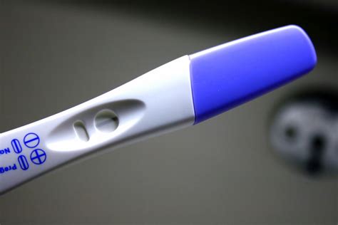How Does A Pregnancy Test Know Your Pregnant Pregnancywalls